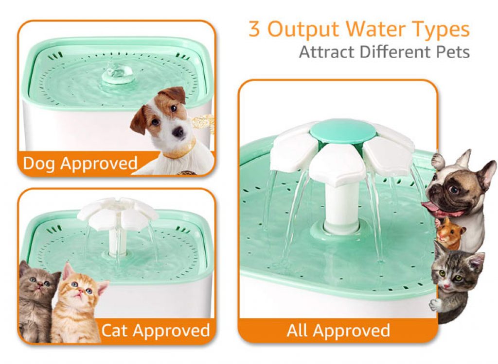 Best Extra Large Dog Water Fountain