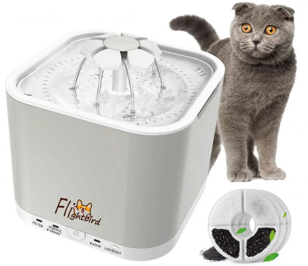 Best Extra Large Dog Water Fountain