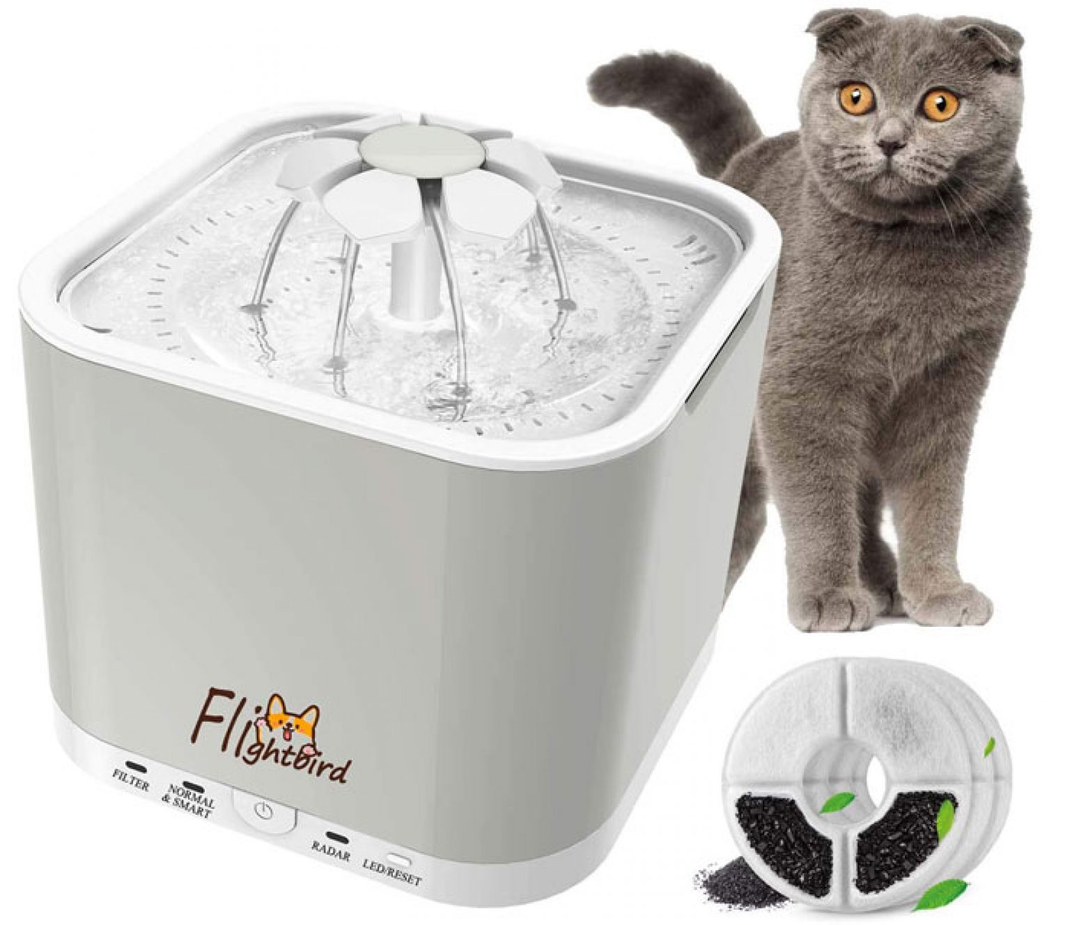 Extra Large Dog Water Fountain Best Smart Dog Fountain