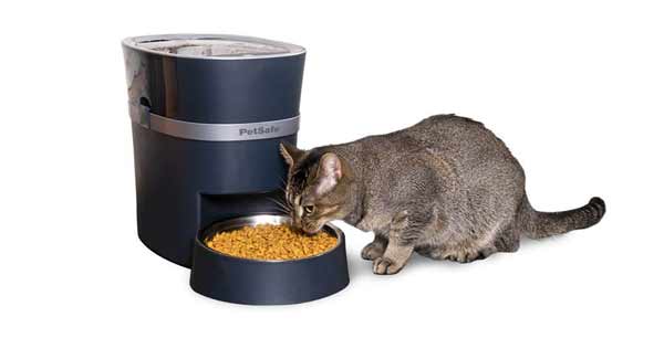 3 Best Automatic Dog Feeder For Multiple Dogs Life Falcon
