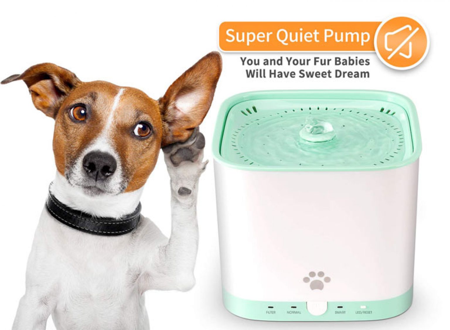 Best Extra Large Dog Water Fountain