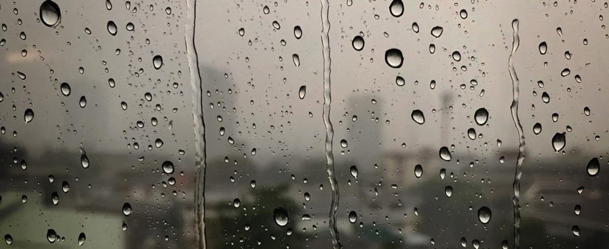 Top Best Automatic Sprinkler Controller Life Falcon