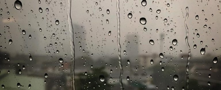 3 Best Automatic WiFi Sprinkler Controllers