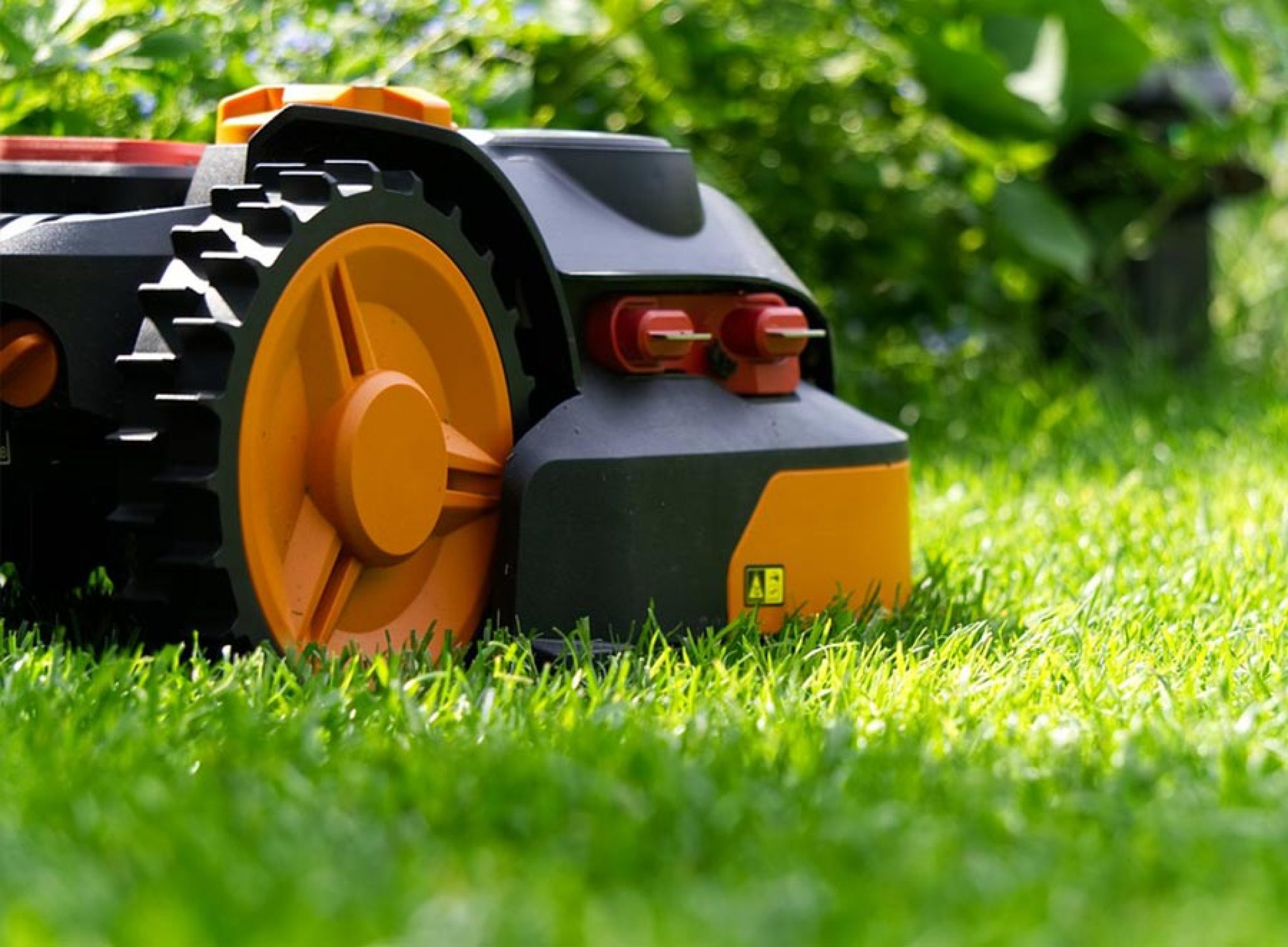 Best Robot Lawnmower 2024 Pearl Beverlie
