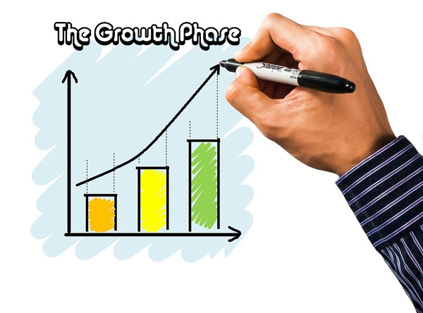 The growth phase of the Sigmoidal Curve