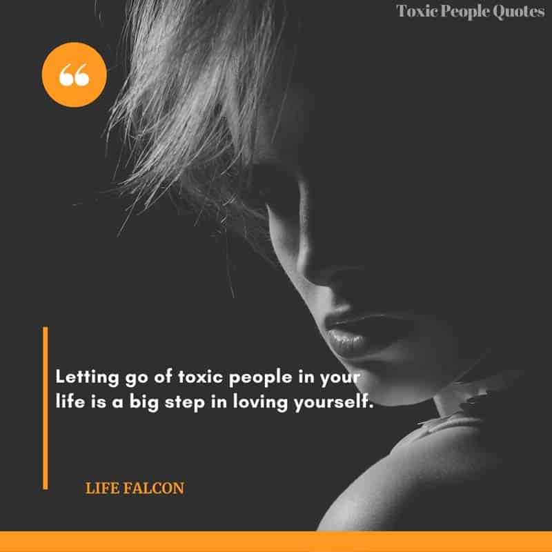 Featured image of post Toxic Get A Life Quotes : Refocus and recharge with these inspirational sayings.