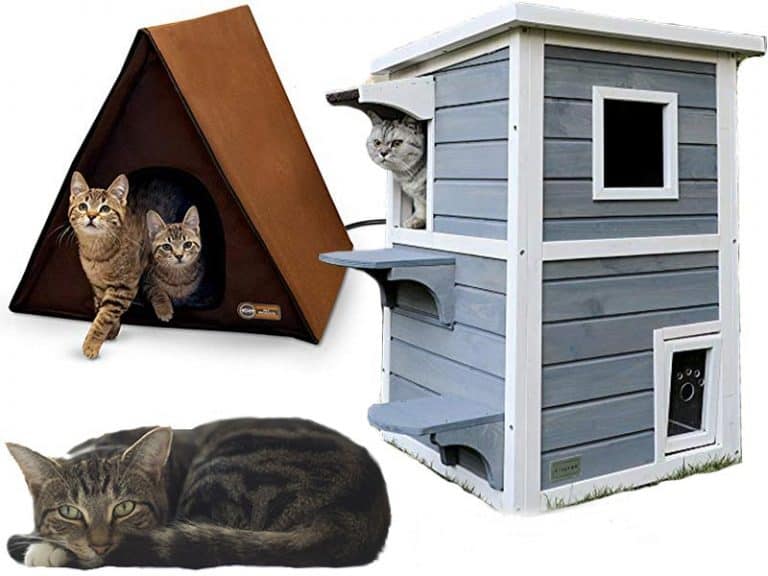 7 Best Outdoor Cat Houses  for Multiple Cats  Life Falcon