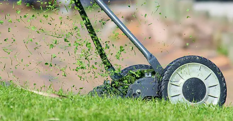 5 Best Self-propelled Lawnmowers