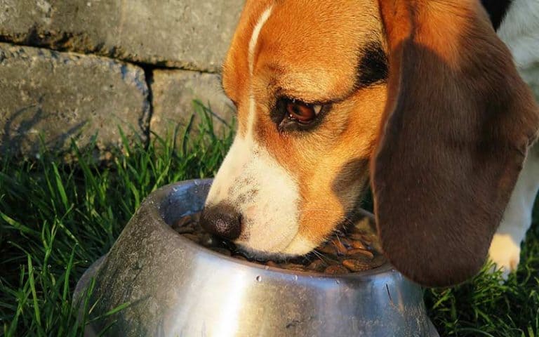 What Was The Taste Of The Wild Lawsuit?