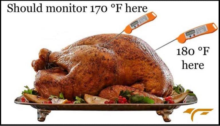 Where To Put Thermometer In Turkey Life Falcon