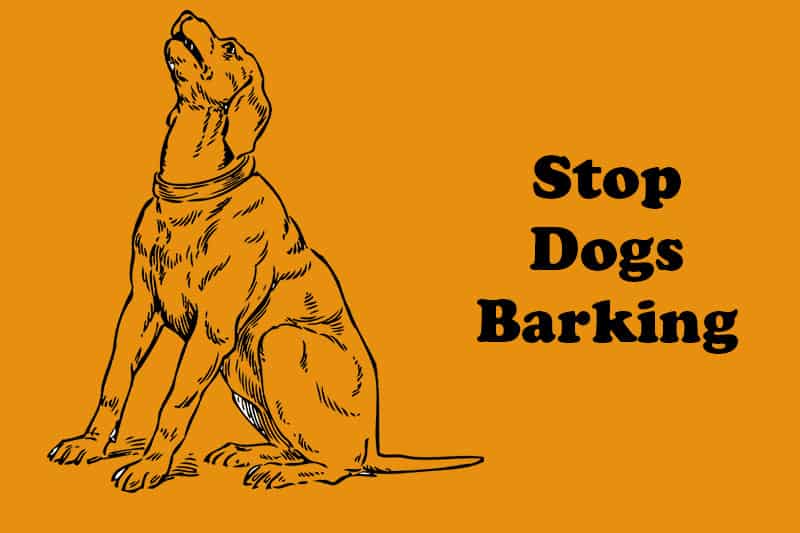 deter dog barking