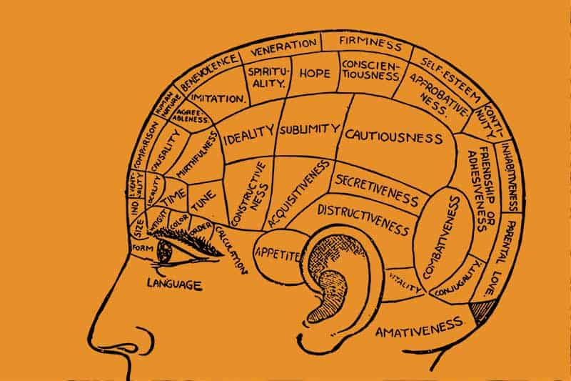 which side of the brain is creative which side of the brain is creative