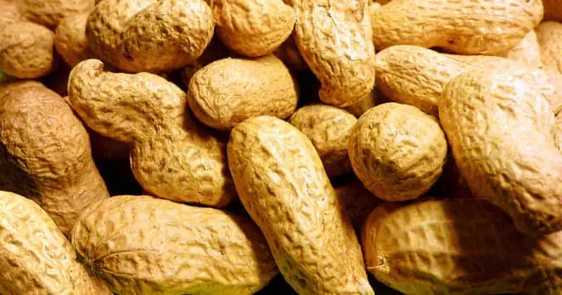 are peanut shells edible?