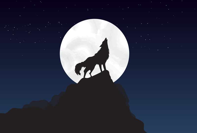 How to Teach Your Dog to Howl?