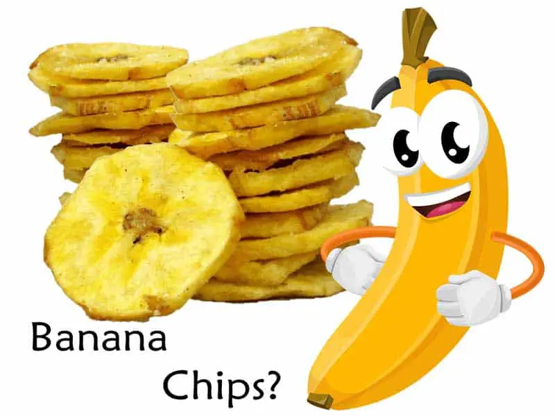 Are Plantain Chips Healthy?
