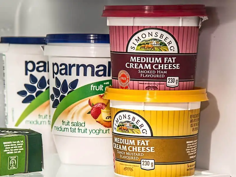 Can My dog Eat Cream Cheese? Life Falcon